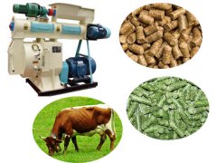 Advantage of KMEC Cattle Feed P